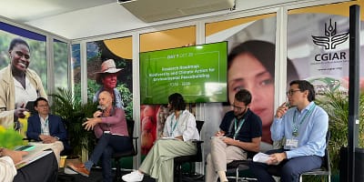 Chris Dickens presents at COP16 in Cali, Colombia (Photo credit: Chathurangi Wickramaratne / IWMI)