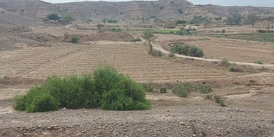 Mithawan hill torrent area. Photo: D.G. Khan