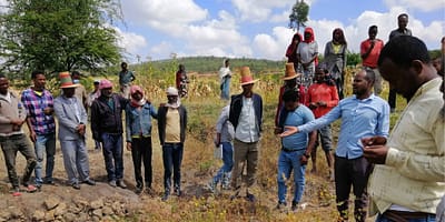 Farmers take part in a field demonstration in Ethiopia (Credit: Wolde Mekuria Bori / IWMI)