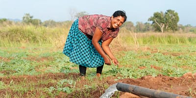 A farmer uses groundwater for irrigation in Kalpitiya, Sri Lanka. Photo: Hamish John Appleby / IWMI.