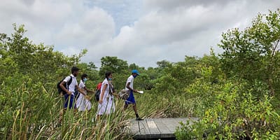 School children walking through Colombo's wetlands. Photo: Priyanie Amerasinghe IWMI