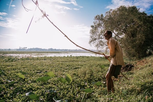 Man lifts a flower from the waters of the Anawilundawa lake in Sri Lanka. Photo: Shaoyu Liu / IWMI