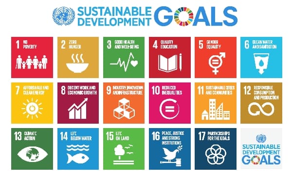 The SDGs