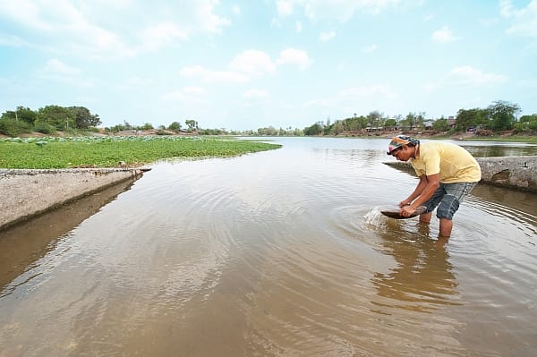 Livestock pond in the Thuvavi village - Hamish John Appelby / IWMI