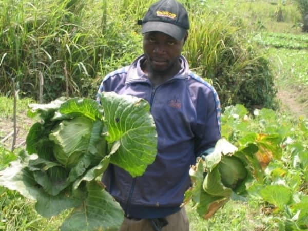 vegitable-farmer