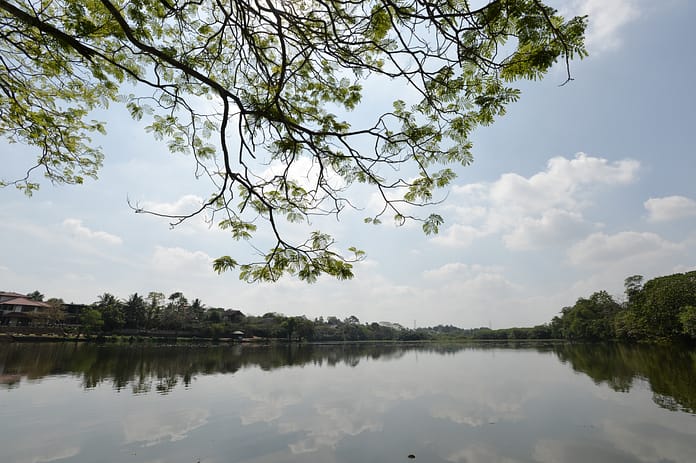 The Thalangama tank. According to the National Wetland Directory it comprises an irrigation area of 95 acres and a non-irrigable area of 111 acres (about 83 ha. in total). It was built for paddy cultivation during the era of King Parakramabahu VI (1551-1547 AD) who reigned in the ancient Kotte kingdom to which the tank belongs. (photo: Neil Palmer/IWMI).