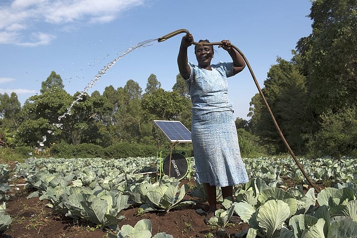 Rodah Tiyoi of Kapsokwony Kenya launches water from the Futurepump solar irrigation system onto her cabbage crops on her family farm.