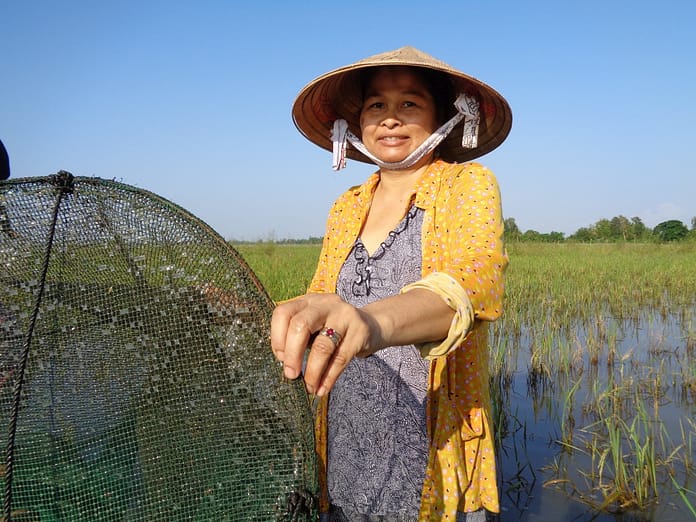 Fishing in the rice field