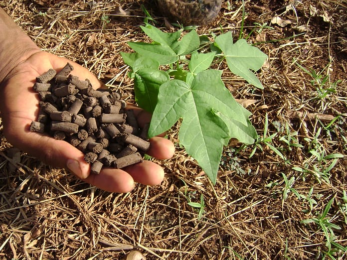 circular bioeconomy