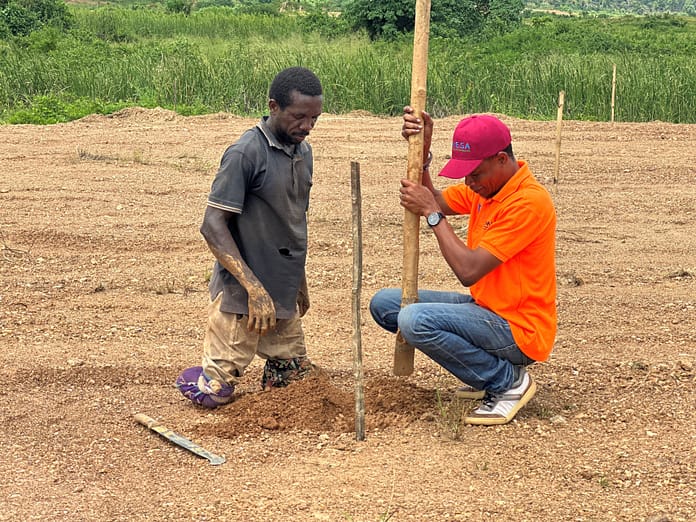 Preparing to plant an oil palm seedling on a reclaimed post-mined site. Photo: Eric Nartey / IWMI