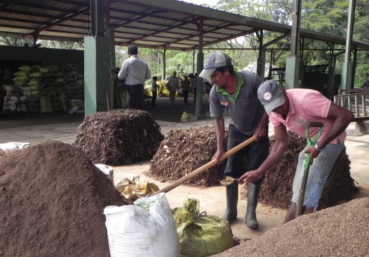 The IWMI study, based in the KMC compost plant, sorts municipal solid waste into several piles of organic waste to which dried fecal sludge is added in a process known as co-composting. Different raw material including saw dust, Eppawala Rock Phosphate (ERP), rice husk and fecal sludge are then added in varying proportions to develop value- added organic fertilizer.  
