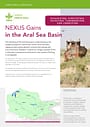 NEXUS Gains in the Aral Sea Basin: Kazakhstan, Kyrgyzstan, Tajikistan, Turkmenistan, and Uzbekistan (01/31/2025) 