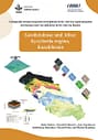 Geodatabase and atlas: Kyzylorda Region, Kazakhstan (01/15/2025) 