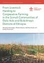 From livestock herding to cooperative farming in the Somali communities of Dolo Ado and Bokolmayo districts of Ethiopia (12/06/2024) 