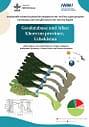 Geodatabase and atlas: Khorezm Province, Uzbekistan (01/15/2025) 