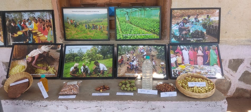 Products and byproducts from Mahva plant 