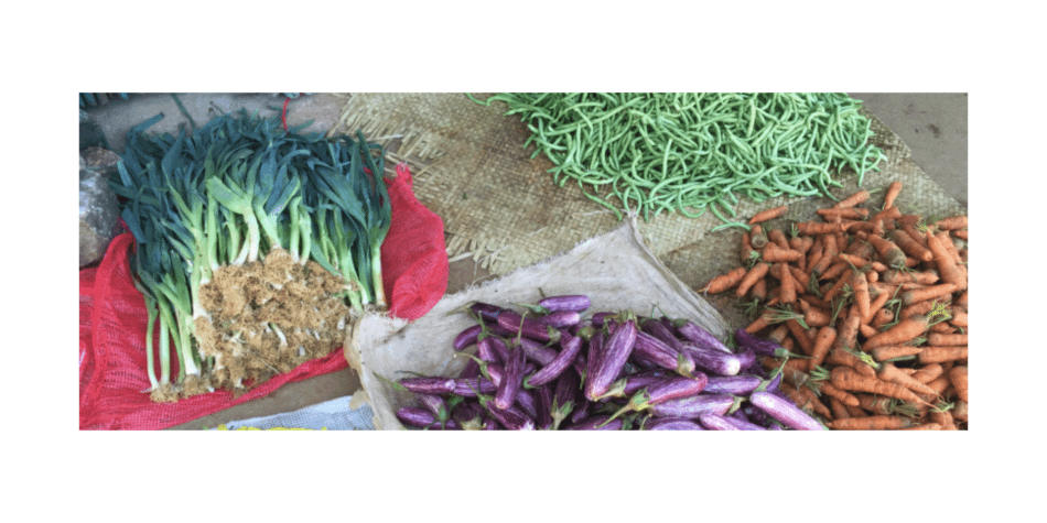 Multi stakeholder sharing forum: Linking organic waste and agriculture in a circular economy