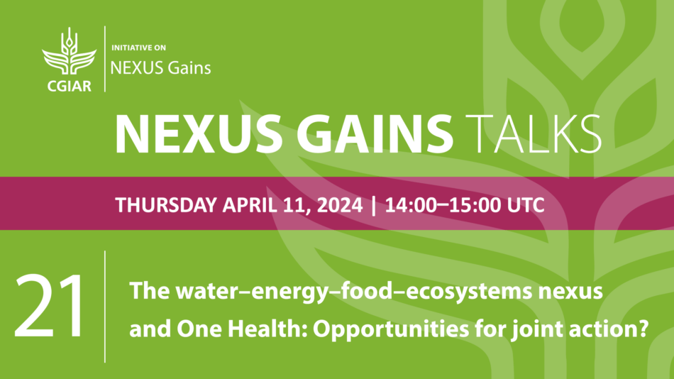 NEXUS Gains Talks