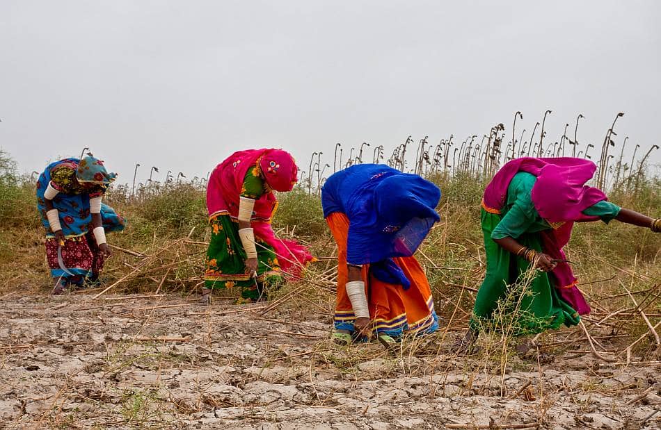 Women in rural Pakistan. Photo: Asian Development Bank (ADB)