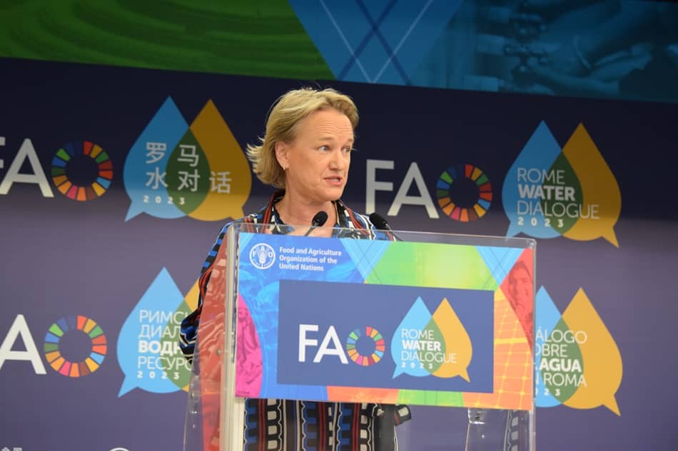 Rachael McDonnell speaking at the Rome Water Dialogue. FAO/FAO Land and Water