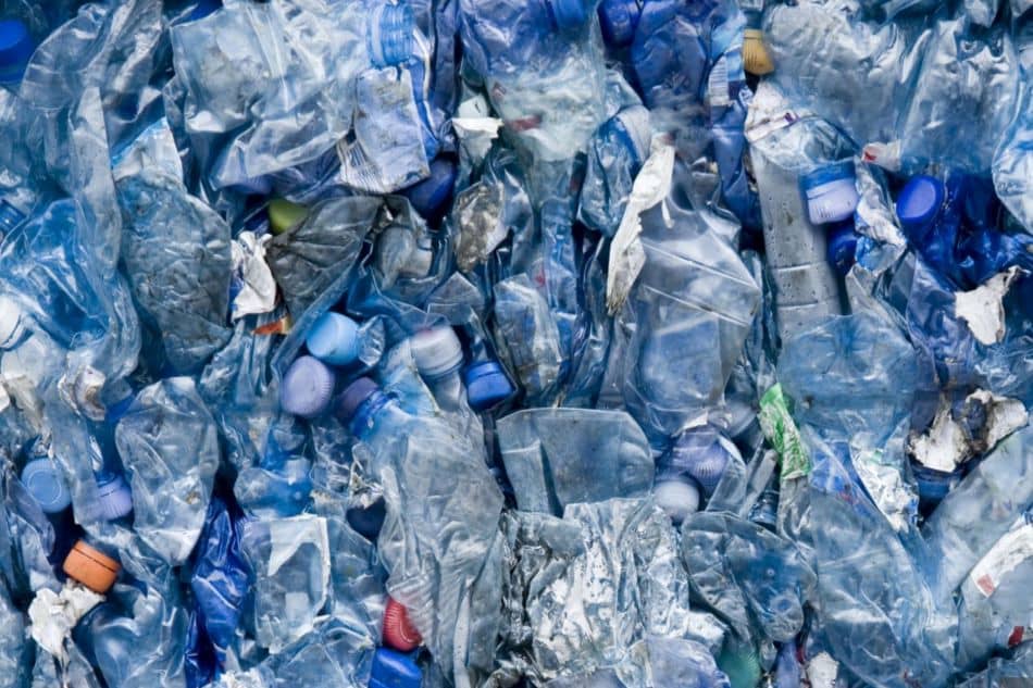 2025 03 26 Microplastics explainer 1