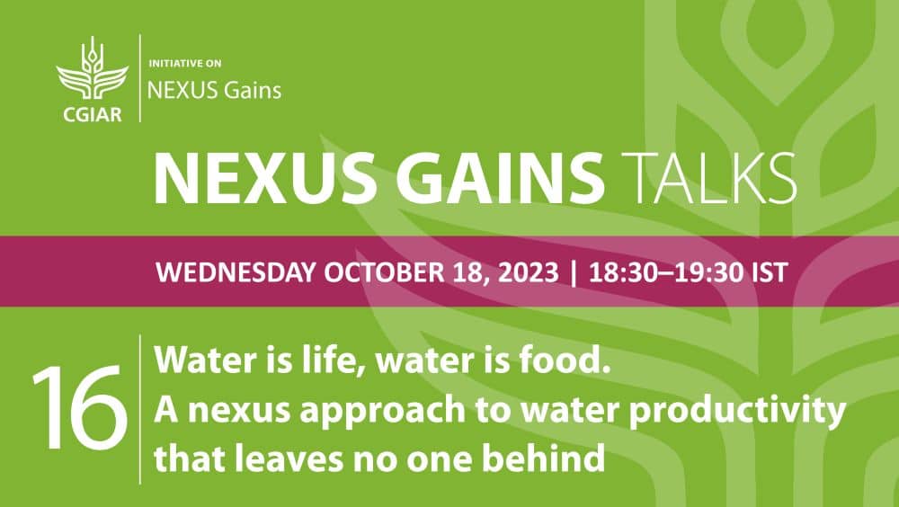 NEXUS Gains Talk 16: Water is life, water is food: A nexus approach to water productivity that leaves no one behind