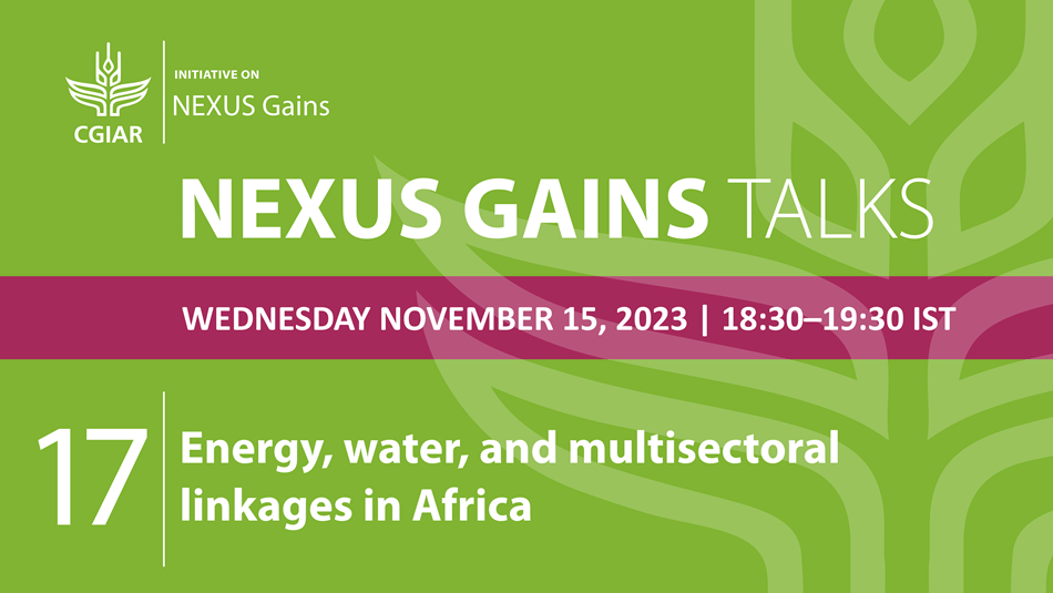 NEXUS Gains Talk #17 - Energy, water, and multisectoral linkages in Africa