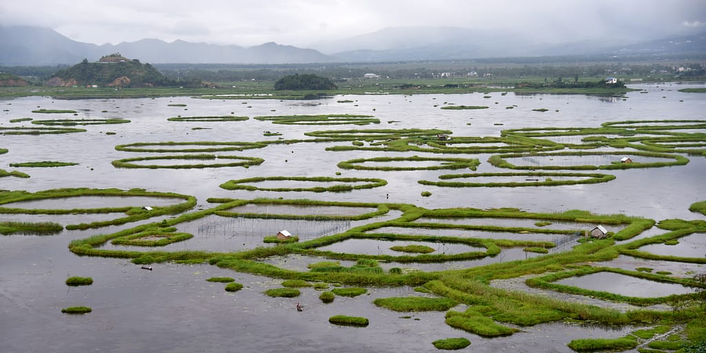 An aerial view of Loktak Lake in Manipur, northeastern India, showing the floating phumdis—unique mats of vegetation that sustain local livelihoods and the lake’s rich wetland ecosystem. Photo: Tanmoy Bhaduri/IWMI