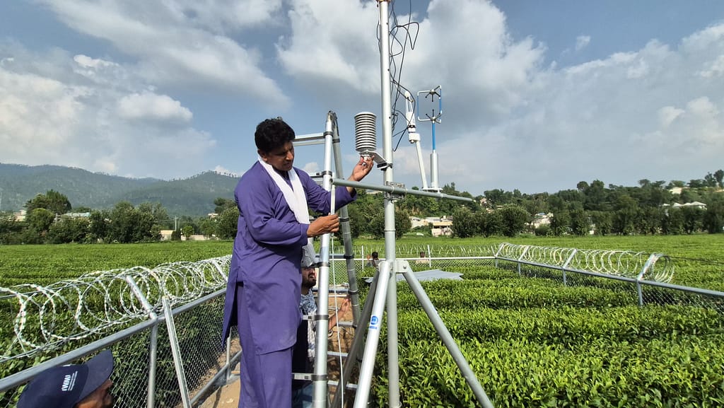 Kashif Hussain, a researcher at IWMI, supports the team during the installation of a Flux Tower at the National Tea and High Value Crops Research Institute, Shinkiari, Pakistan, as part of a network deployed across diverse cropping zones. Photo: Naqash Abbasi/IWMI