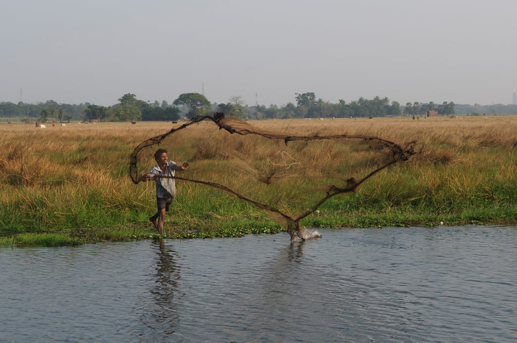 A fisher catches fish in the East Kolkata Wetlands on the outskirts of Kolkata, West Bengal, a unique wetland ecosystem that supports livelihoods while treating the city’s wastewater naturally. Photo: Chhandak Pradhan/IWMI
