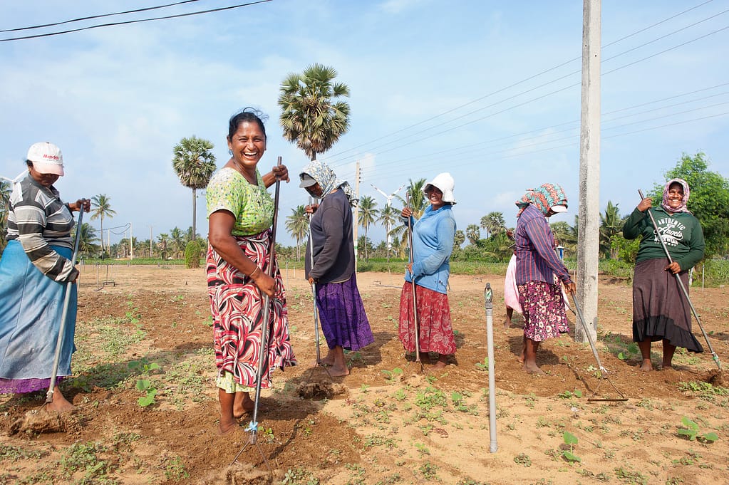 Farmers gather in Kalipitiya, Sri Lanka. Photo: Hamish-John-Appleby/IWMI