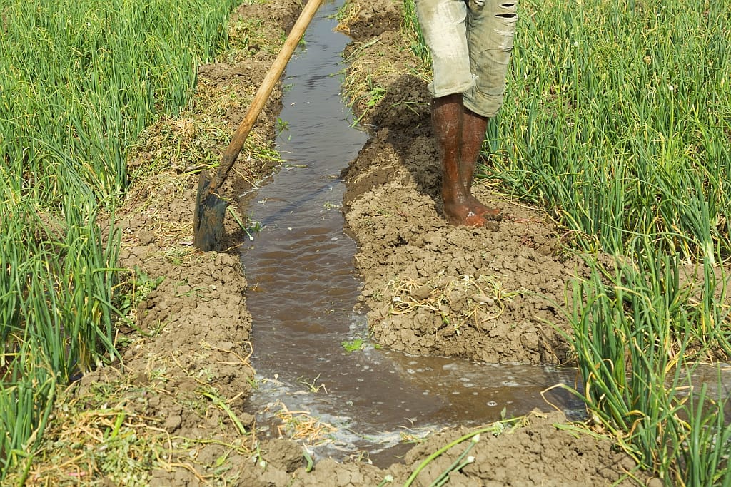 Ali Ibrahim works on an onion farm that he also supervises. He uses irrigation method by bringing water from the nearby Mojo River.
