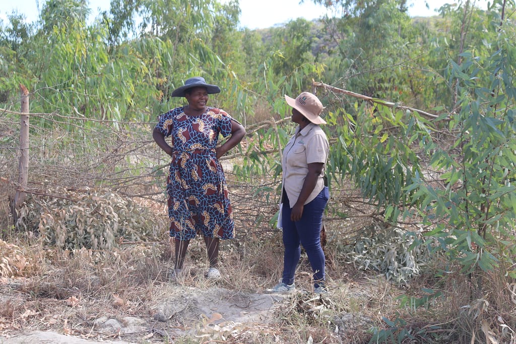 A woman farmer in Makonde speaking to an extension officer. Photo: Dennis Choruma / IWMI