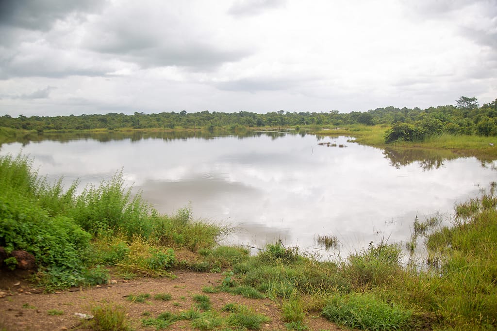 Water collected in irrigation dam at Kaata, Upper West Region, Ghana. Photo: Augustus Addo for IWMI