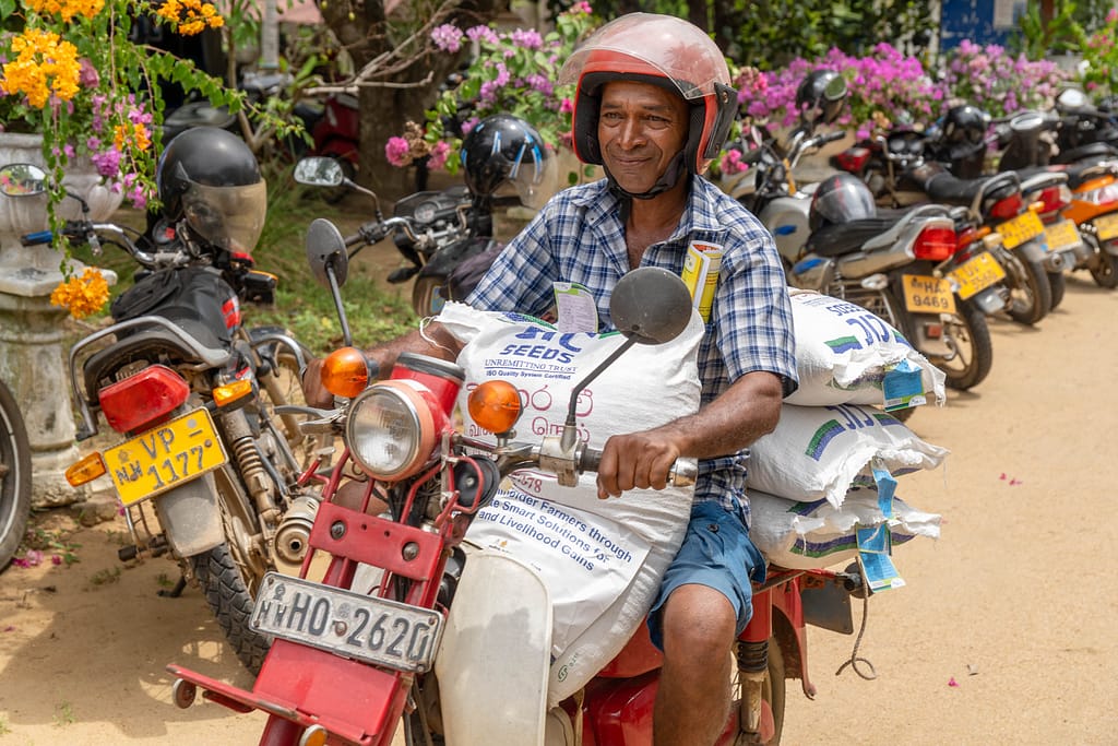 Farmers in Nagollagama, Kurunegala District, Sri Lanka, collect high-yield seed packs designed to produce more with less water in drought-prone areas on September 30, 2025. Photo: Pradeep Liyanage/IWMI.