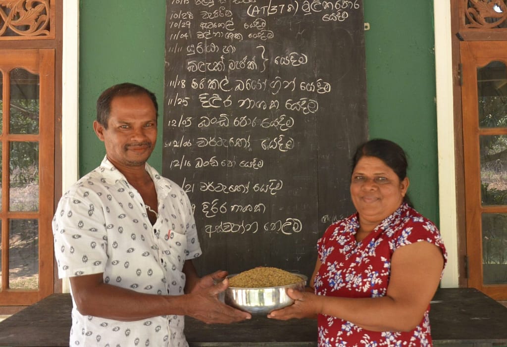 MNM Ratnasiri Bandara and KM Swarnakumari standing in front of their home in Kurunegala, Sri Lanka, on March 6, 2026, holding a bowl of rice they grew. Photo: Hasti Sadri/IWMI