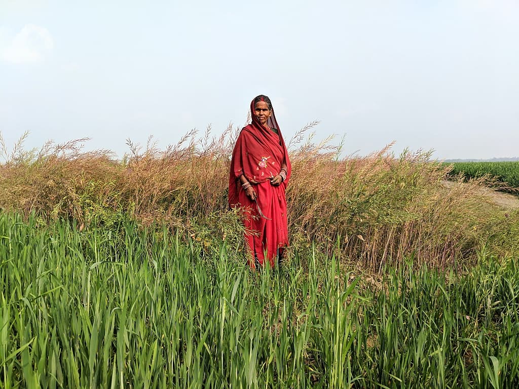 Photo: Dakshina Murthy