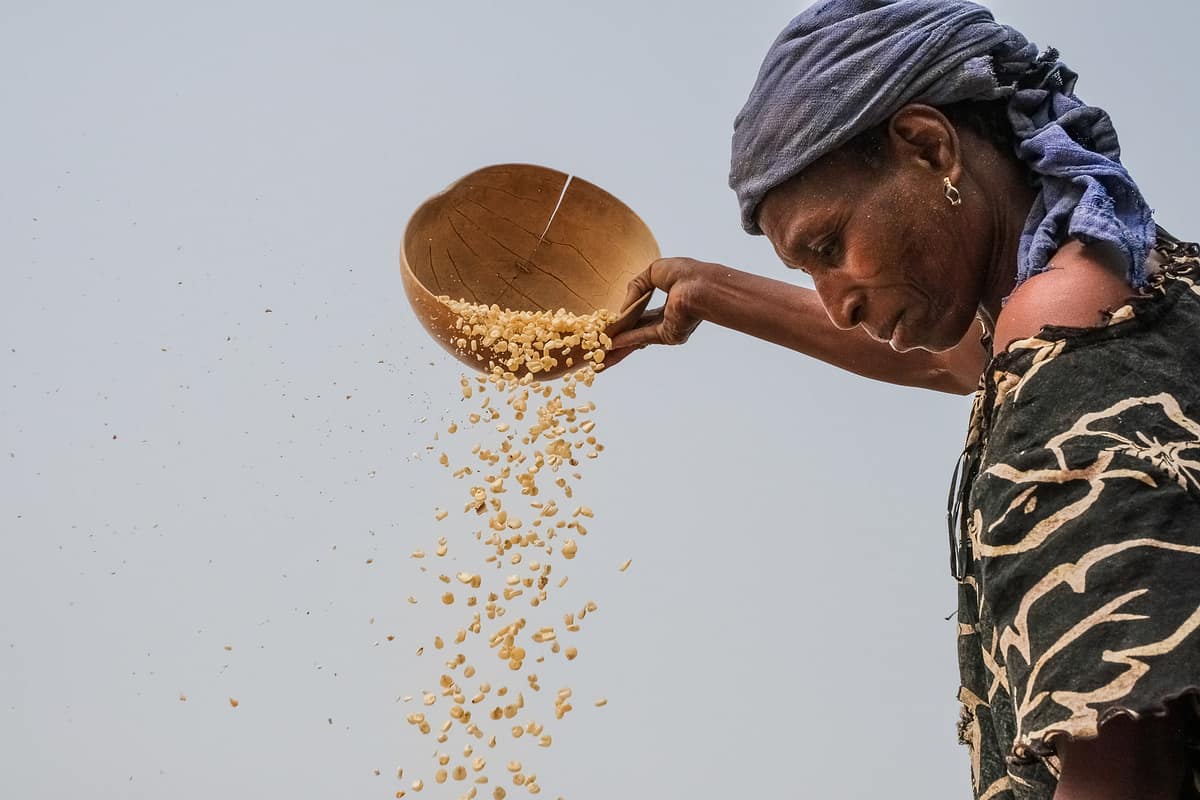 Woman cleaning maize in Gwenia, Kassena Nankana District in Ghana (Photo Credit: Axel Fassio/CIFOR) Woman cleaning maize in Gwenia, Kassena Nankana District in Ghana (Photo Credit: Axel Fassio/CIFOR)