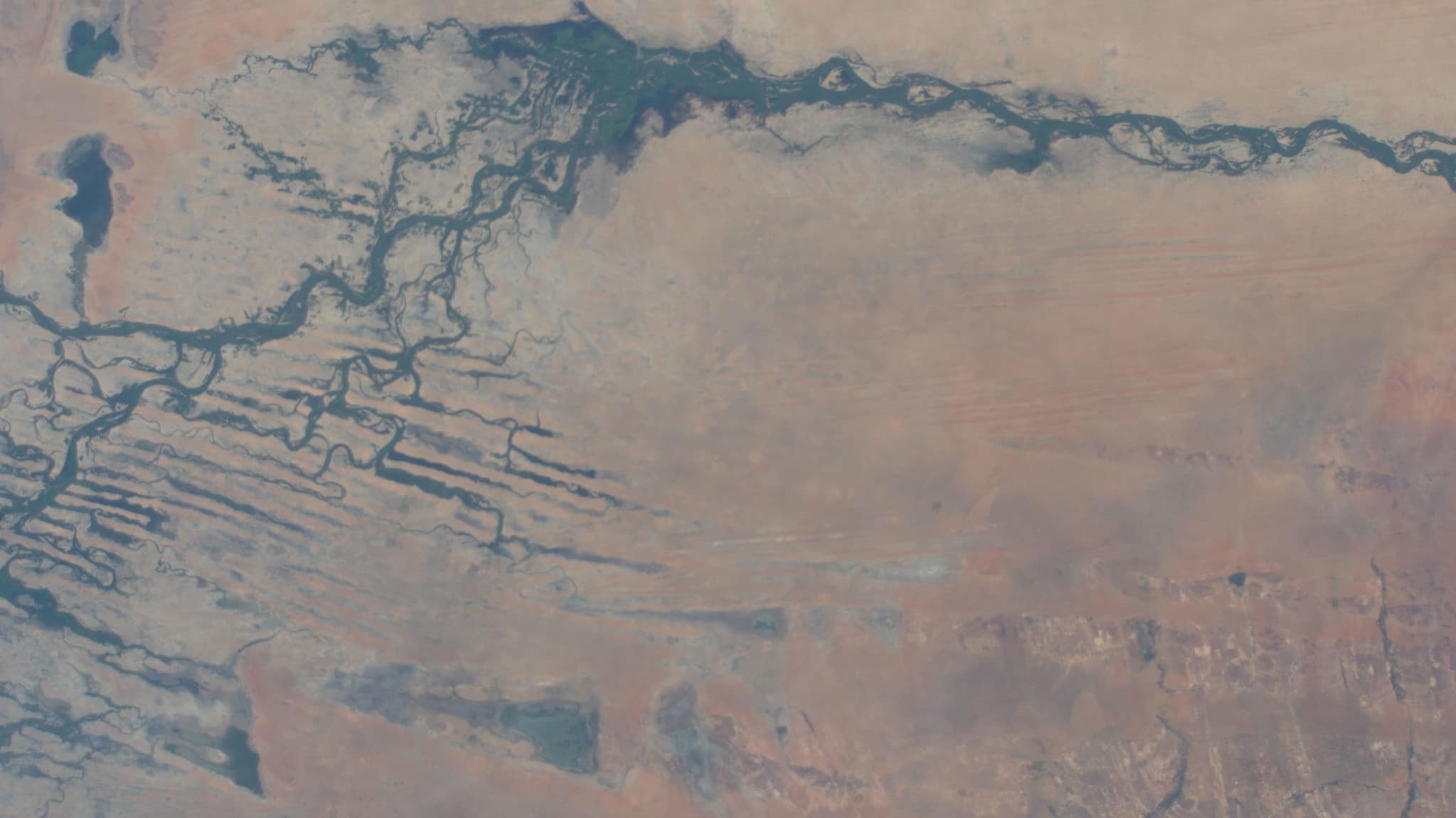 The Niger River in Mali is pictured from the International Space Station as it orbited 259 miles above the southwestern Sahara Desert. Photo: NASA Johnson