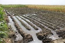 Too much blanket application of water using motor pumps in Meki (Photo: Desalegne Tadesse)