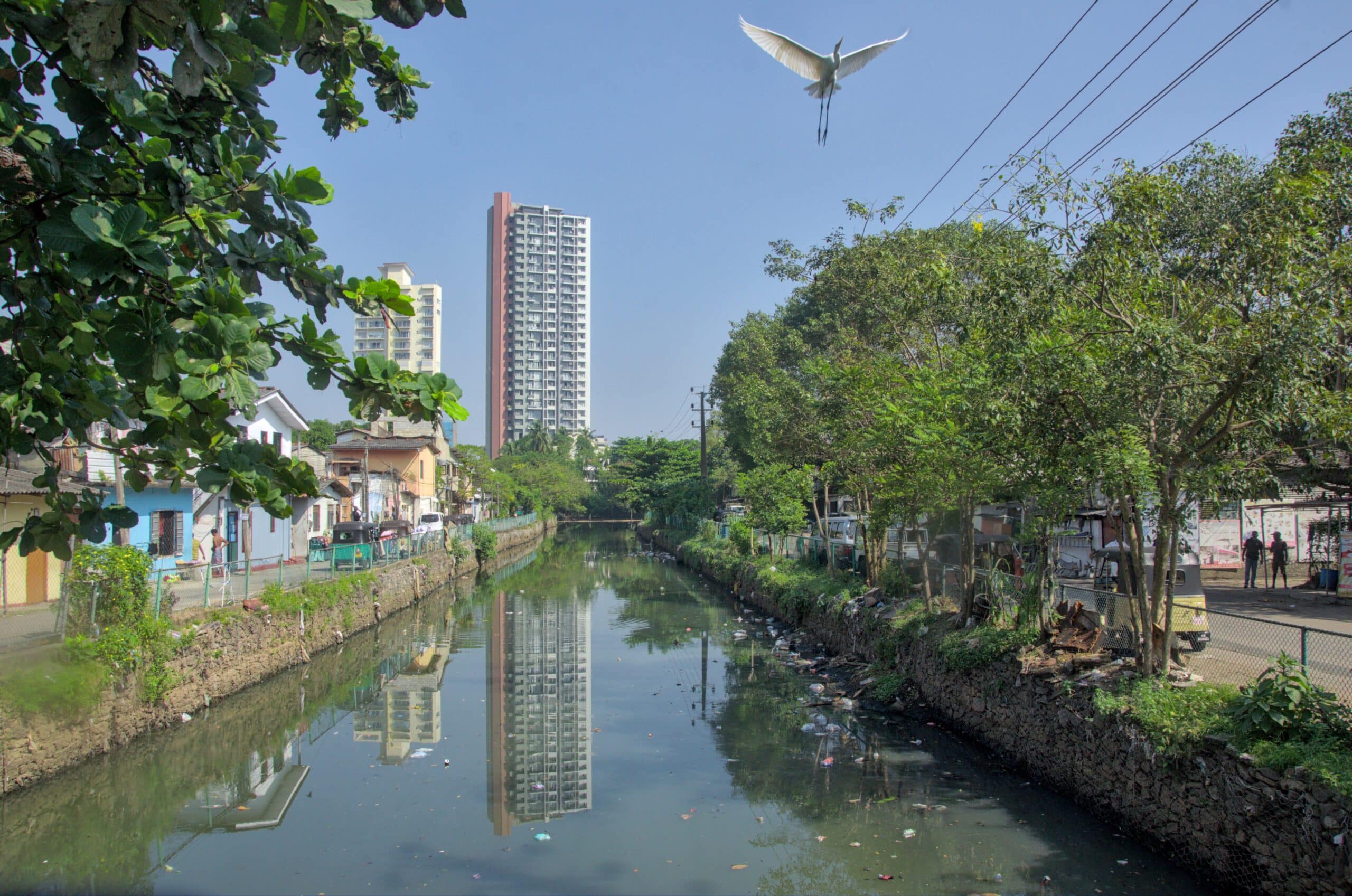 Garbage in Dehiwala Canal. Laura Keil / IWMI.