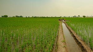 The platform that wants to save Pakistan’s groundwater
