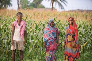 How a new framework can provide flood insurance guidance to millions of farmers