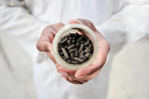 Climate finance can unlock the full potential of circular bioeconomy  