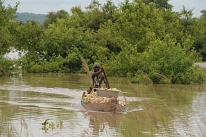 2025 07 25 Why wetlands must be central to building hydrological resilience 2