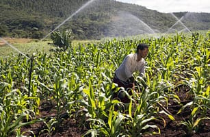 Prevention Web: Ahead of UN Summit expert consensus that action on water critical to transforming food systems