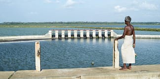 February 2022 Research Journal Roundup A reservoir at Arali in Jaffna, Sri Lanka. Photo: Hamish John Appleby/IWMI