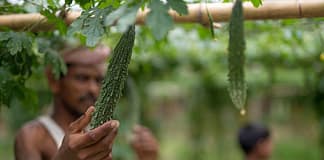 March 2022 Research Journal Roundup Photo: Metro Media / IWMI