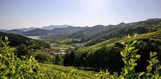 Nature World News: Water Shortage Is Expected To Increase in More Than 80% Of Farmland Throughout the World This Century