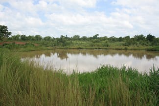 This reservoir, created by a construction company when extracting gravel for road building, is the main source of water for many households in the community.